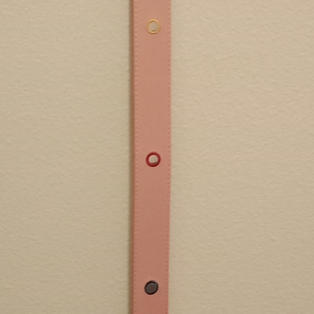 FINAL PRICE💕Juicy Couture Pink Belt - Picture 2 of 8